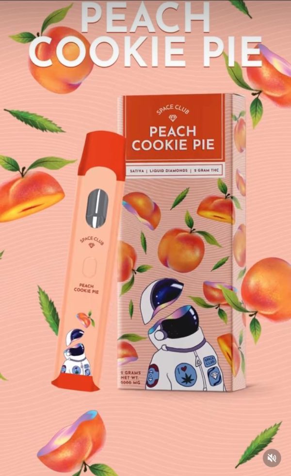  Peach Cookies Pie Space Club